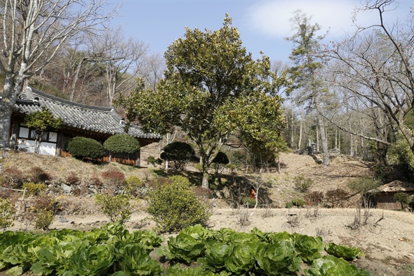  전남 순천 송광사 불일암