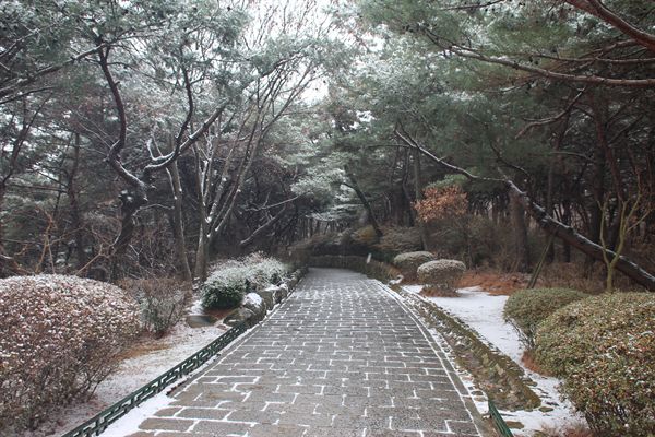 김유신 장군묘 입구쪽 산책로 모습