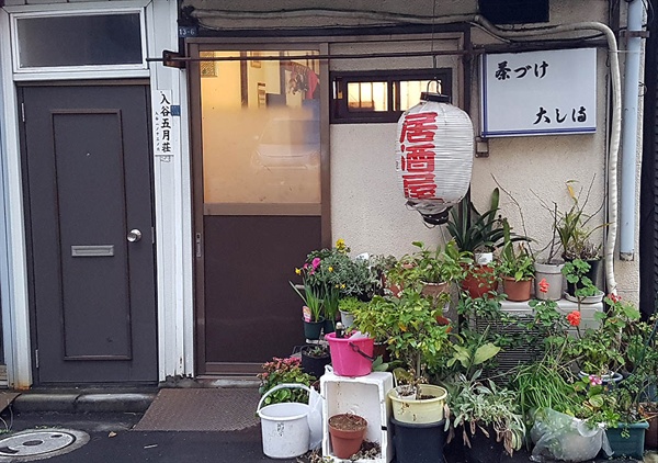 일본의 한 술집 앞에 화분들이 놓여져 있다.