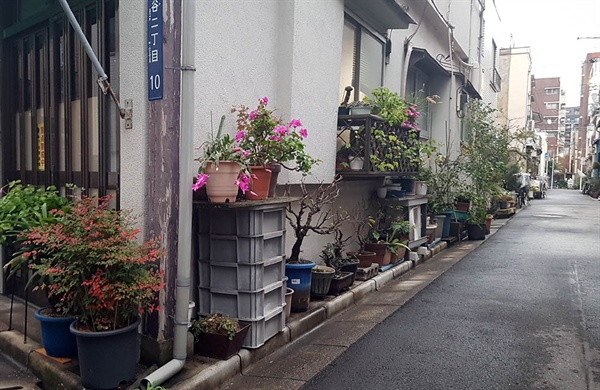한겨울의 도쿄 주택가 뒷골목 풍경. 집집마다 화분을 내놨지만 통행에 전혀 불편을 주지 않는다.