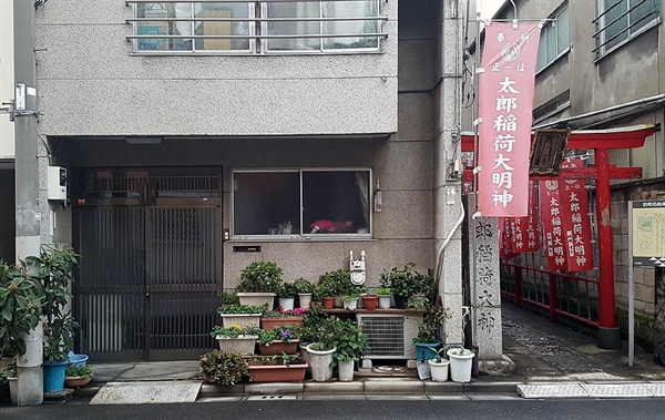 일본 주택가의 한 가정집 앞에 화분들이 놓여져있다. 오른쪽에 신사 입구가 보인다.