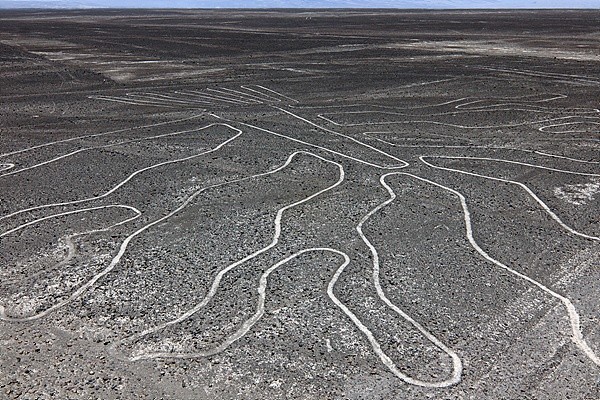 지상 10미터 높이 전망대에서 바라본 나스카 지상라인 모습