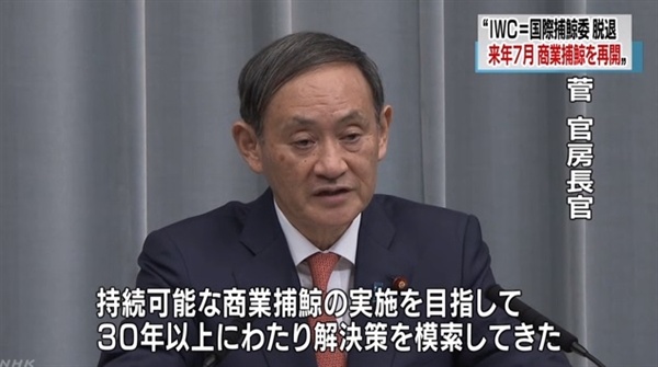 일본 정부 대변인 스가 요시히데 관방장관의 국제포경위원회(IWC) 탈퇴 선언을 보도하는 NHK 뉴스 갈무리.
