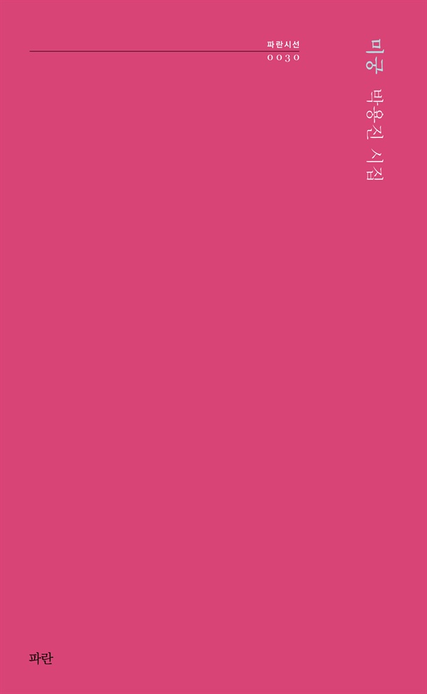 시집의 해설을 쓴 전영규 평론가는 이 시집을 ‘크로노스 우화집’이라고 소개하고 싶다고 했다. 
‘심연을 품은 심해어처럼 세상이 자라나는 당신의 어두운 입안에서 그들에 대한 이야기가 흘러나온다. 옛날에 사랑했던 당신에 대한 이야기가. 세상의 기원에 대한 이야기가. 이 시대의 마지막 오이디푸스이자 바울로의 목소리가. 그 어떤 이름도, 세례도 받지 않은 그들에 대한 이야기가. 그리고 내 것이 아닌, 나도 모르게 삼켜 버린 시(詩)라는 낯설고 무한한 그것들이.’(전영규 문학평론가의 『미궁』 시집 해설 ‘크로노스 우화집’ 중)