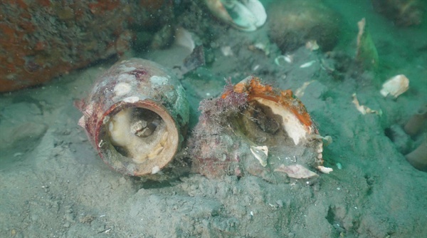 도기소병(陶器小甁, 입술 접시모양인 작은 크기의 병) 발굴 당시 수중 모습.