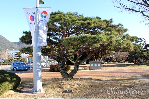 2010년 7월 1일 경남도청 뜰에 심어진 김두관 전 경남지사의 기념식수 나무 옆에 태영열 전지판 가로등이 세워져 있다.
