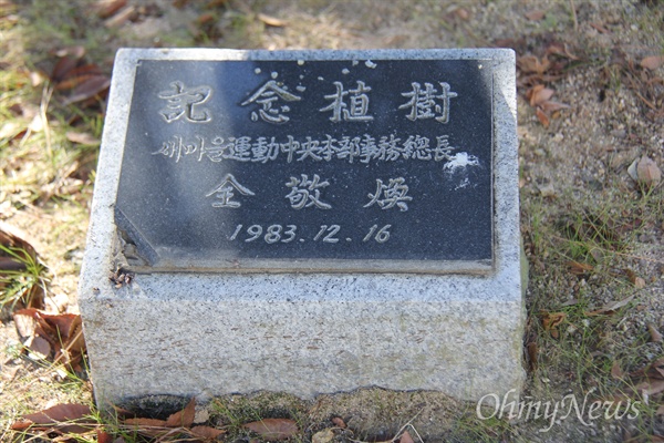 전경환 새마을운동중앙본부 사무총장이 1983년 12월 16일 경남도청 뜰에 기념식수해 놓은 소나무의 표지판.
