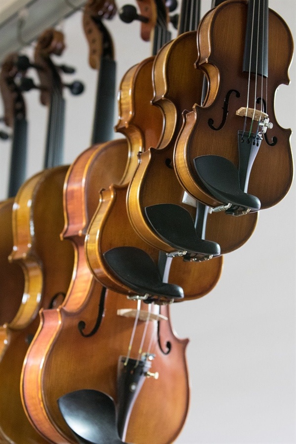    바이올린의 모습은 흡사 돼지가 거꾸로 매달려 있는 것 처럼 정육점을 연상시켰다. 