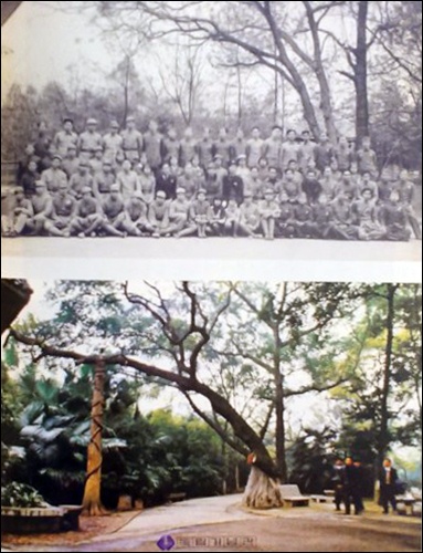 한국광복진선청년공작대원이 기념사진을 찍은 류저우 류후공원 (위) 아래는 현재의 모습