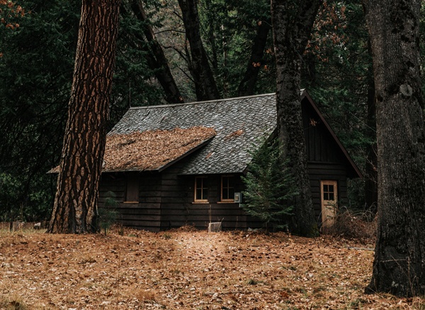 6년간 살았던 동백숲 작은 집은 모두의 숲으로 열어놓고 나왔다.