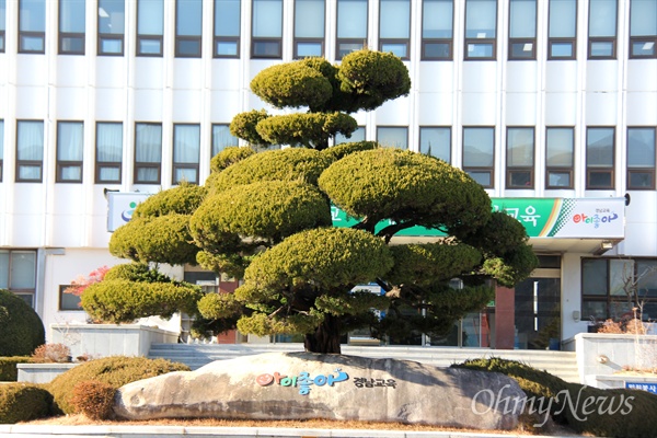 경남도교육청 정문과 중앙 현관 앞에 심어져 있는 '가이즈카 향나무'.