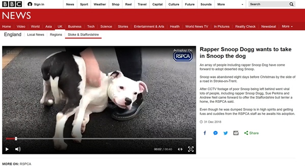  유기견 '스눕'이 버려지는 영상을 보도한 영국 BBC 뉴스 갈무리.