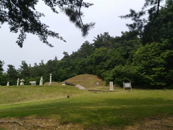 흥선대원군 묘 전경