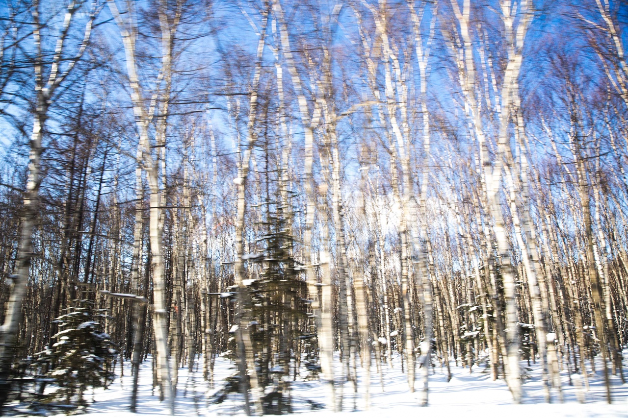    사할린의 겨울은 혹독하다. 영하 30도를 밑도는 날이 허다하고 눈은 기본이다.