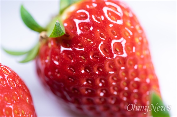 딸기는, 아니 과일은 크기가 맛을 결정하지 않는다. 다만 보기에 좋냐, 선물하기 좋냐만 결정할 뿐이다.