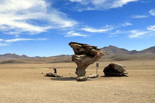 5천미터가 가까운 높은 곳에서 추위와 바람에 시달리다 나무가 되어버린 일명 '돌나무(Arbol de Piedra)'로 관광객들에게 인기있는 돌이다. 