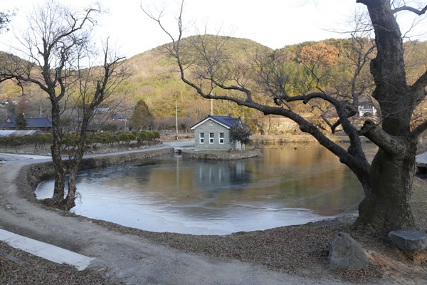 연계정에서 내려다 본 옛 모현관 풍경. 고목 느티나무와 어우러진 연못이 한껏 운치를 더해준다.