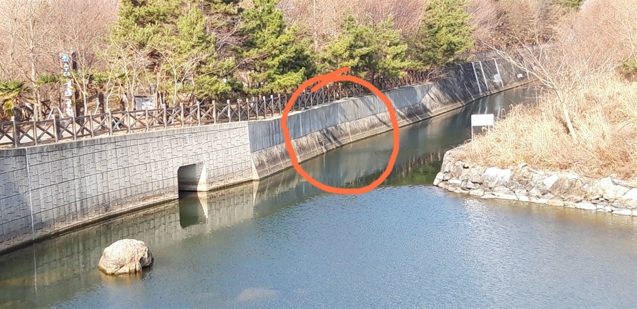 거제수달생태공원 수로 벽면에 매달려 있는 통발에 수달이 죽은채 발견됐다