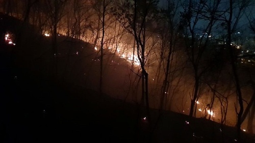 1월 6일 새벽 0시 30분, 김해 분성산에서 발생한 화재 현장.