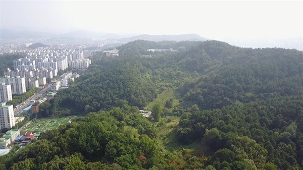 대전시 한 복판에 위치한 월평공원은 시민들의 휴식공간이자 대전의 허파 역할을 하고 있다.