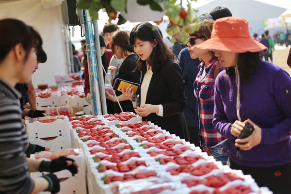 지난해 열린 논산딸기축제 딸기 판매부스 모습