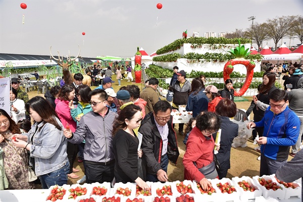 지난해 열린 논산딸기축제 모습 (논산천 둔치)