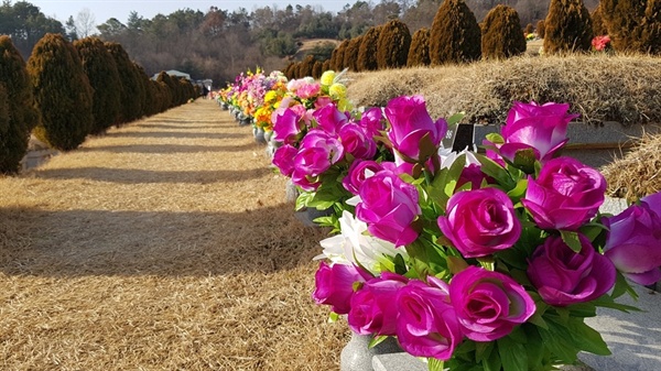 추모공원을 찾은 성묘객들은 추석 때 꽂아 놓은 조화 꽃을 새꽃으로 교체하는가 하면, 집에서 준비한 제사음식으로 성묘를 마쳤다. 