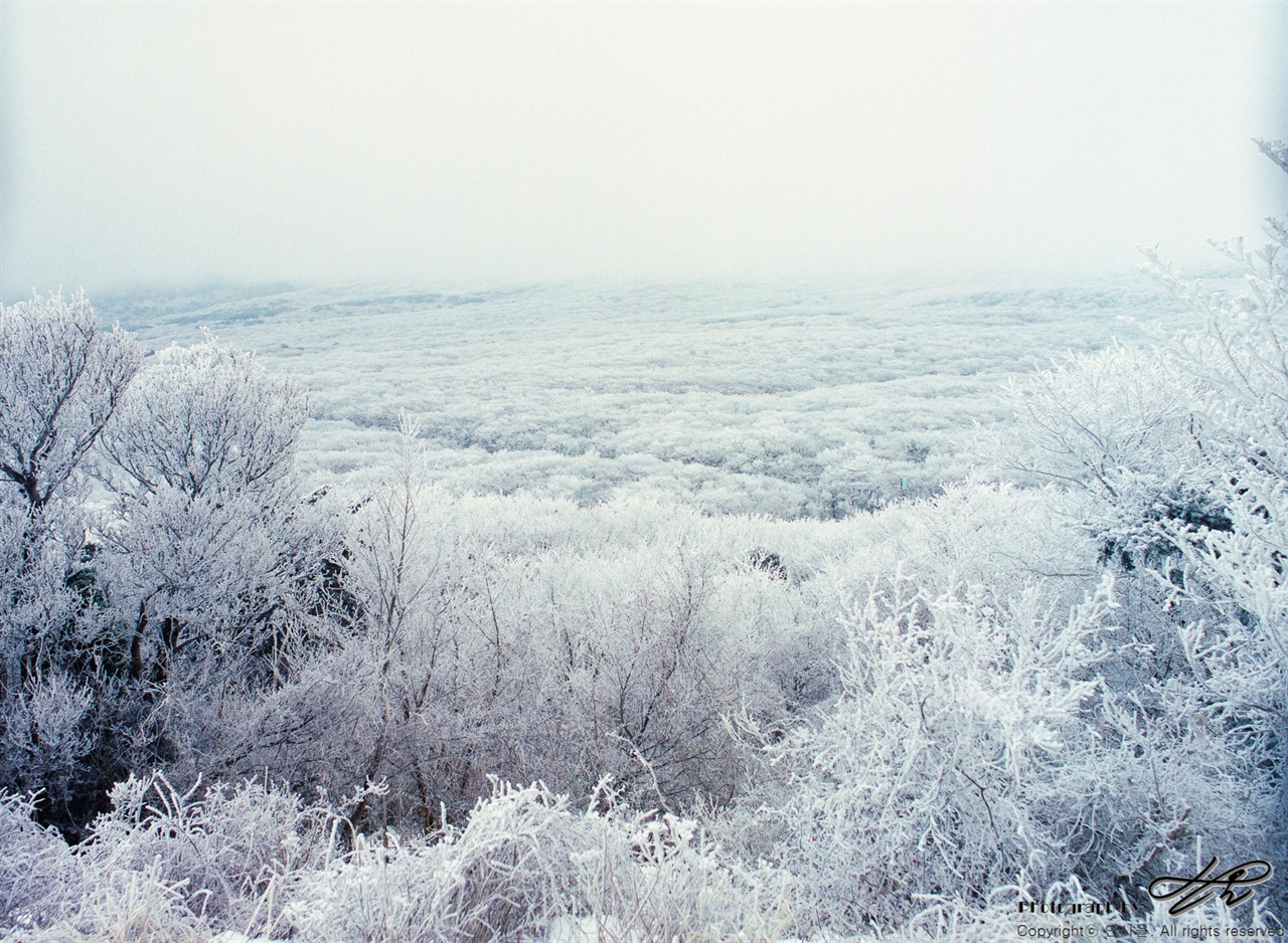 1100도로와 눈세상 (645N)아침 1100도로 주변은 눈세상이었다. 사진을 찍은 곳은 세오름통신소. 눈숲 사이로 얇게 보이는 선이 1100도로이다.