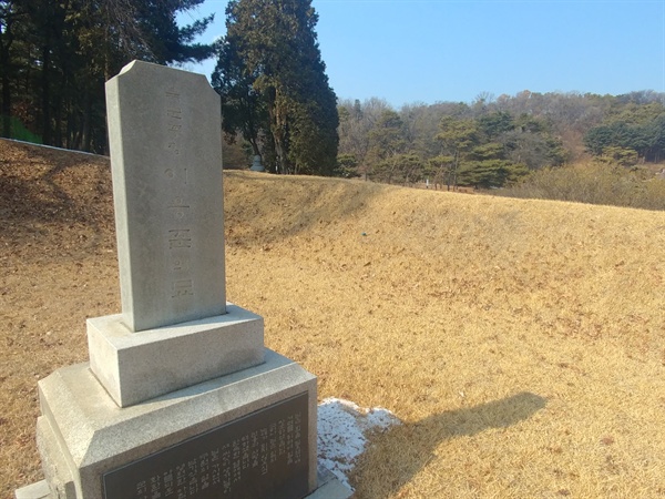 친일파 이응준의 묘. 사진 속 우측에 애국지사들의 묘가 위치해 있다.