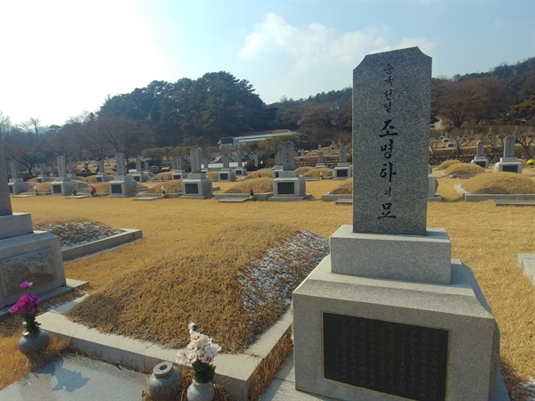 순국선열 조명하 선생의 묘에서 바라본 친일파 무덤. 사진 속 좌측 소나무가 우거진 곳이다.