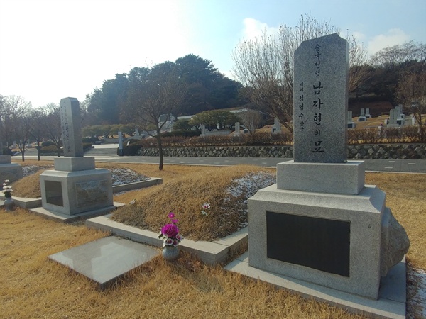 순국선열 남자현 선생의 묘에서 바라본 친일파 무덤. 사진 속 좌측 소나무가 우거진 곳이다.