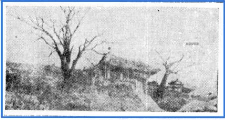 1931년 동아일보 기사 사진에 나타난 종고산 자락 충무동의 충무공비각 모습.   당시 신문 캡쳐