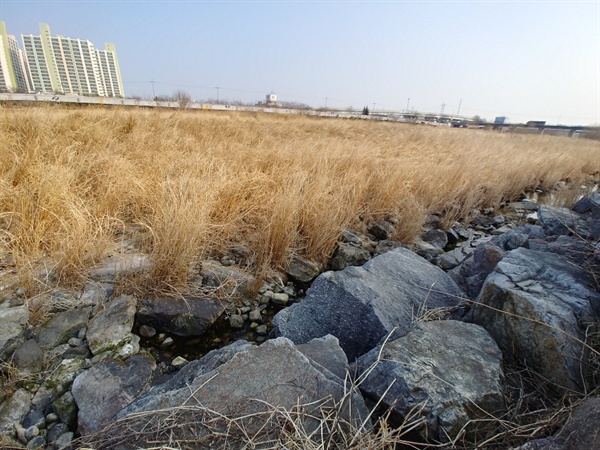 산책만 해도 좋은 세상을 '쇼핑몰 한국'이 가리고 있는 것은 아닐까