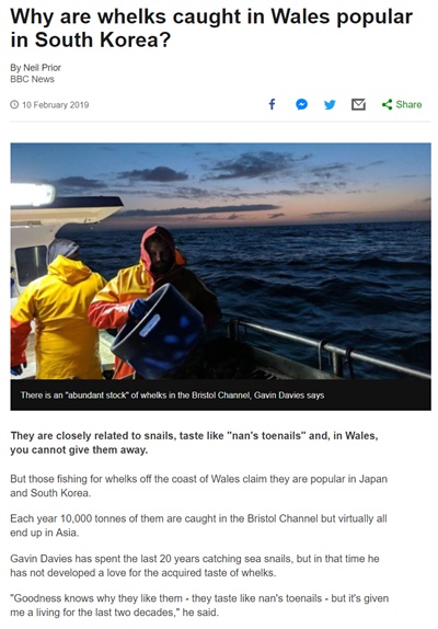 지난 10일, 영국 BBC가 브리스톨 해협의 골뱅이 어획과 수출 현황을 기사로 전하던 과정에서 '한국에선 골뱅이가 최음제로 여겨진다'는 잘못된 설명을 담았다. 오보에 대한 지적이 일자 현재 기사에서 해당 내용은 수정됐다. 