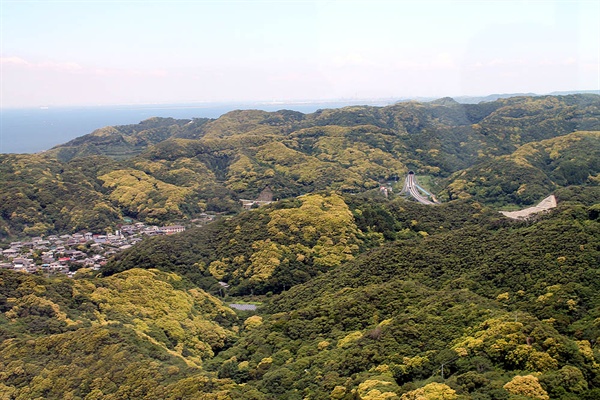 일본 치바현 노코기리산에서 내려다본 전망. 바늘 꽂을 틈도 없겠다 싶을 정도로 나무가 빽빽이 들어차있다.