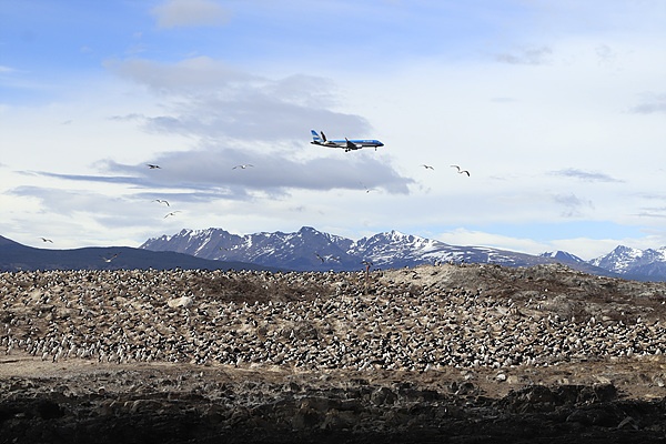 수많은 새들이  쉬고있는 섬 위로 세상에서 가장 큰 새인 비행기가 날고있다. 크루즈선에서 사진을 찍으려던 찰나 우수아이아 공항에 착륙하기 위해 기수를 낮춘 비행기가 나타났다. 사진은 '타이밍의 미학'임을 실감했다 