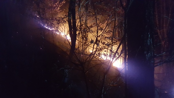 3월 13일 오후 8시경 창원 장복산 기슭에서 화재가 발생했다.