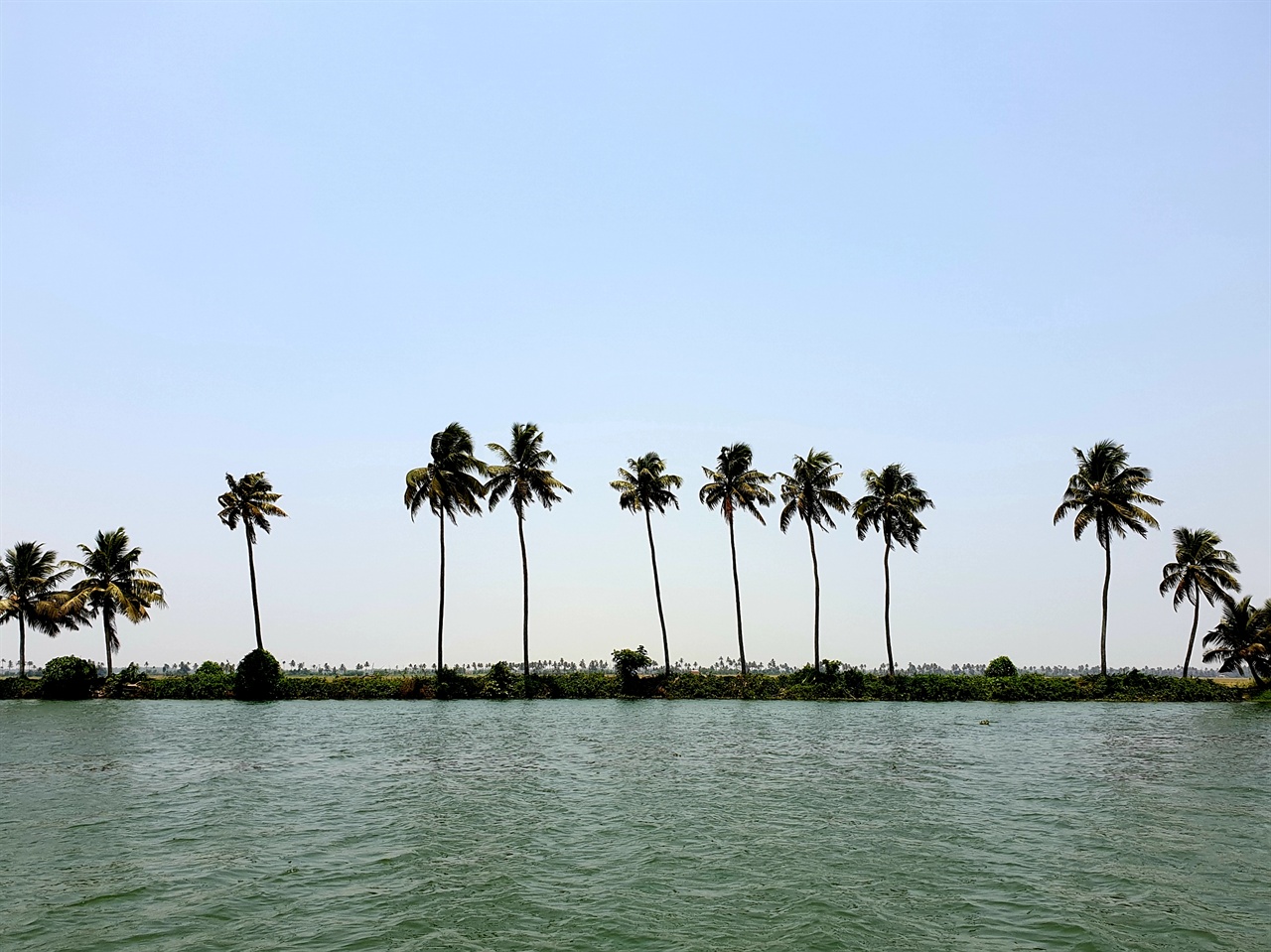 인도 남서쪽의 '케랄라 수로'