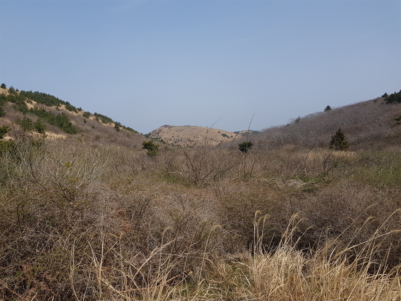 오름 능선에 오르면 분화구가 나타난다. 북동쪽으로 틔여 있어 멀리 밧돌오름이 보인다. 