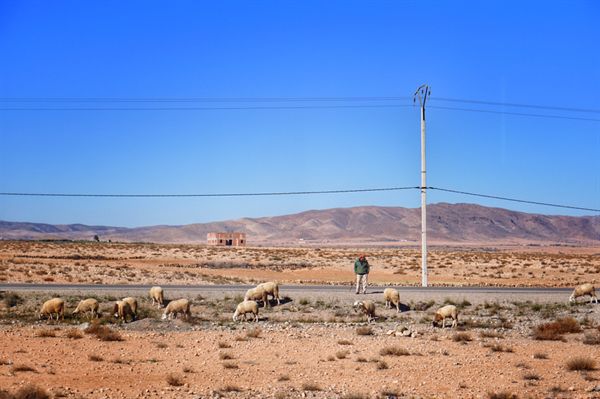 모로코 시골의 양, 염소떼와 목동