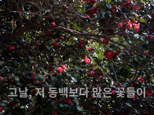 억울하게 죽어간 이들은 아직도 고통 속에서 살아가고 있는데, 가해자는 아직도 사과하지 않았으며, 여전히 제주도민을 좌파, 빨갱이로 왜곡하는 극보수우파들이 있다.