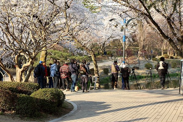 전국에서 모여던 사진작가 및 동호회 회원들 모습