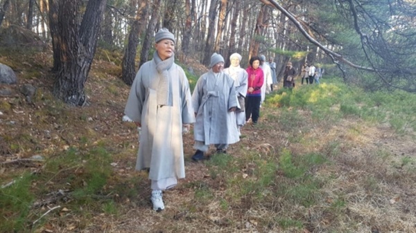 한국 소나무가 둘러싸인 나가노 금강사 주변을 걷는 스님과 신도들