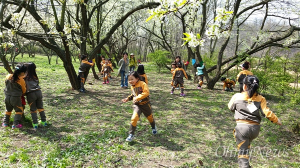 인천대공원의 유아 숲교육 프로그램은 인천시내 유치원, 어린이집 등 단체를 대상으로 하는 정규반·수시반을 운영하고 있다.