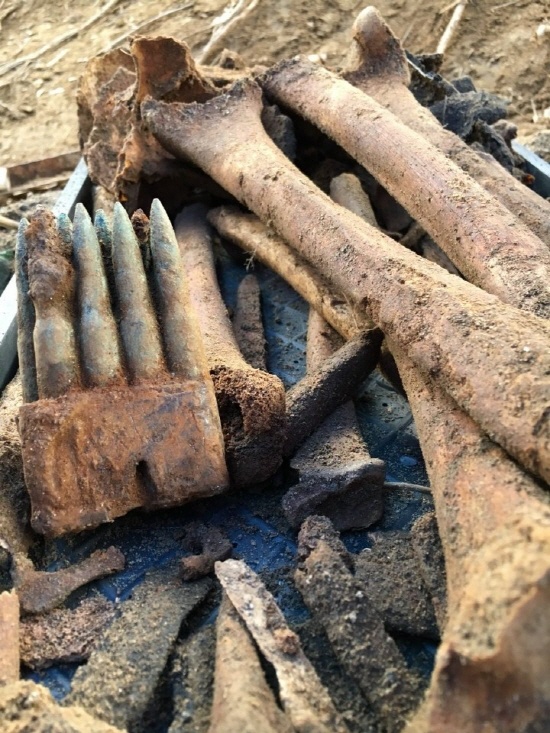 한국전쟁 아산시 민간인학살 유해발굴현장
