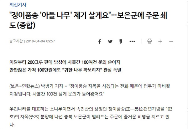  연합뉴스 <정이품송 '아들 나무' 제가 살게요'> 기사 캡처