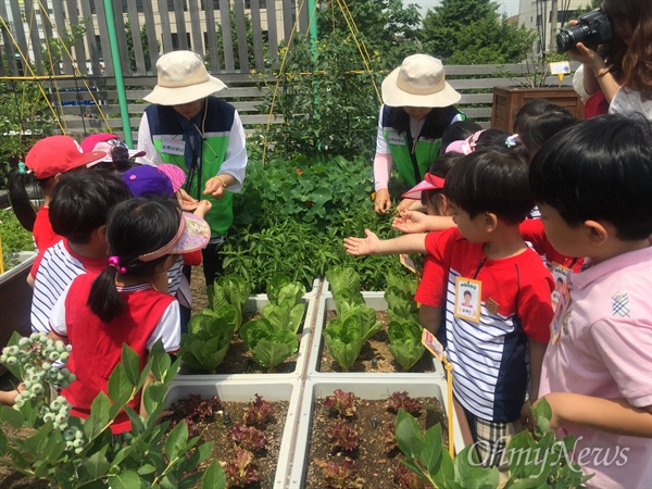 인천시 농업기술센터에서는 지난 2013년부터 도시농업 활성화를 위한 8개 프로그램을 운영해 855회 2만4000여 명을 대상으로 교육을 해왔다. 사진은 어린이농부체험교실.