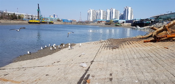  배가 들어오는 항구 안쪽 구역(사진으로 보이는 부분)이 매립예정지이다.