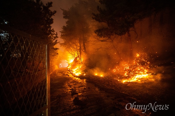 지난 4월 5일 오전 강원도 속초 장사동 일대 야산에 전날 강원도 고성에서 시작된 산불이 옮겨와 임야를 태우고 있다. 