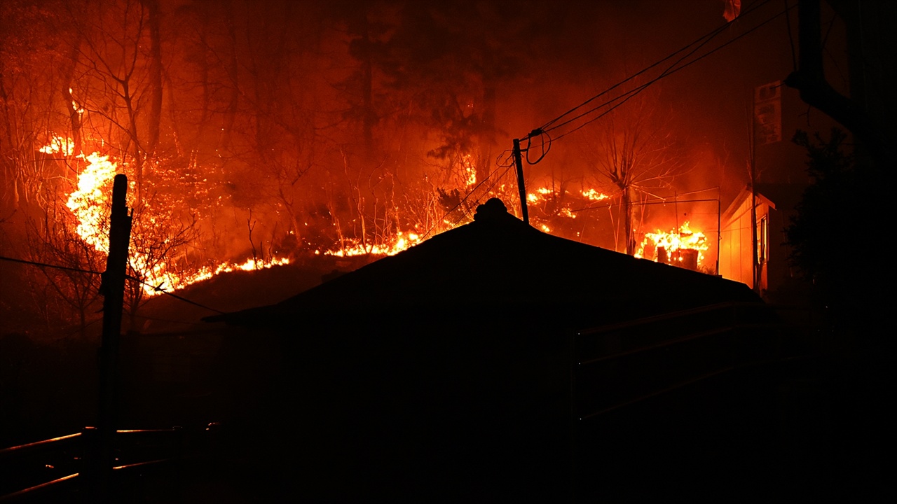 속초 동명동 화재현장 고성에서 4일 오후 7시 17분 발생한 산불이 속초 시 동명동까지 번졌다.